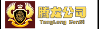 腾龙中企